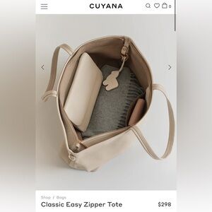 Cuyana tote with easy insert